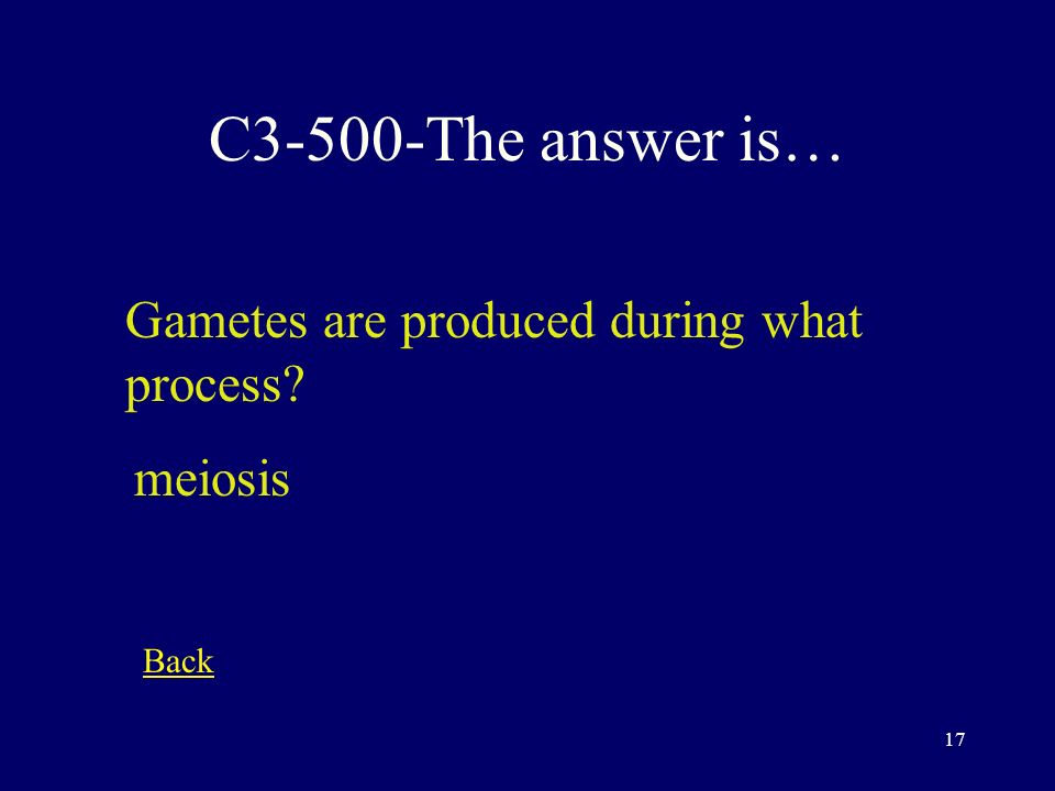 16 C3-400-The answer is… What kind of dominance is represented when yellow and blue make green .
