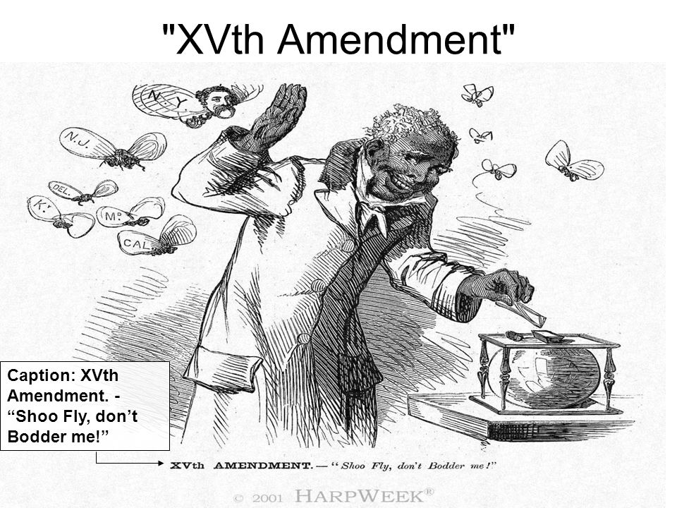 XVth Amendment Caption: XVth Amendment. - Shoo Fly, don’t Bodder me!