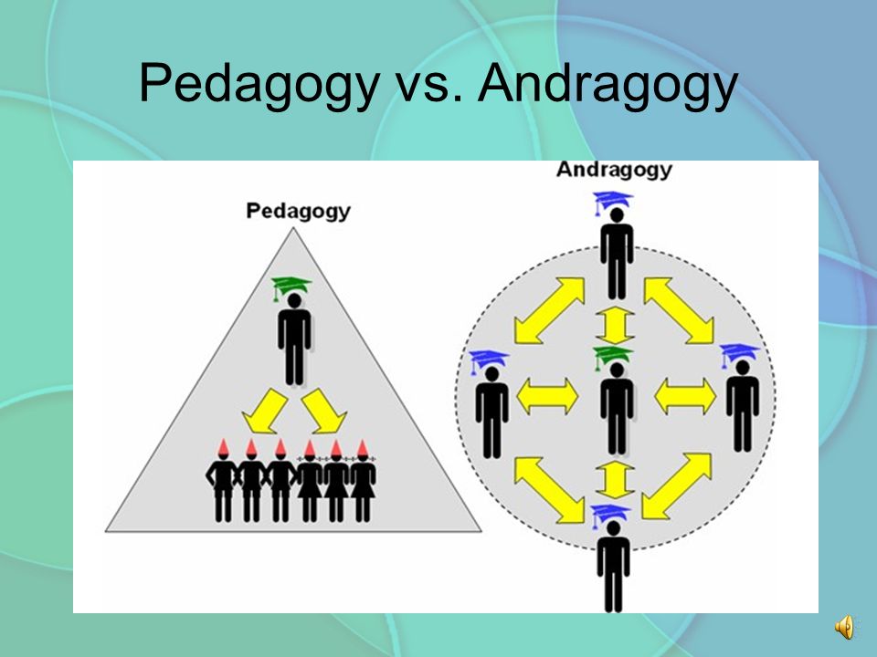 Learning principle andragogy Adult