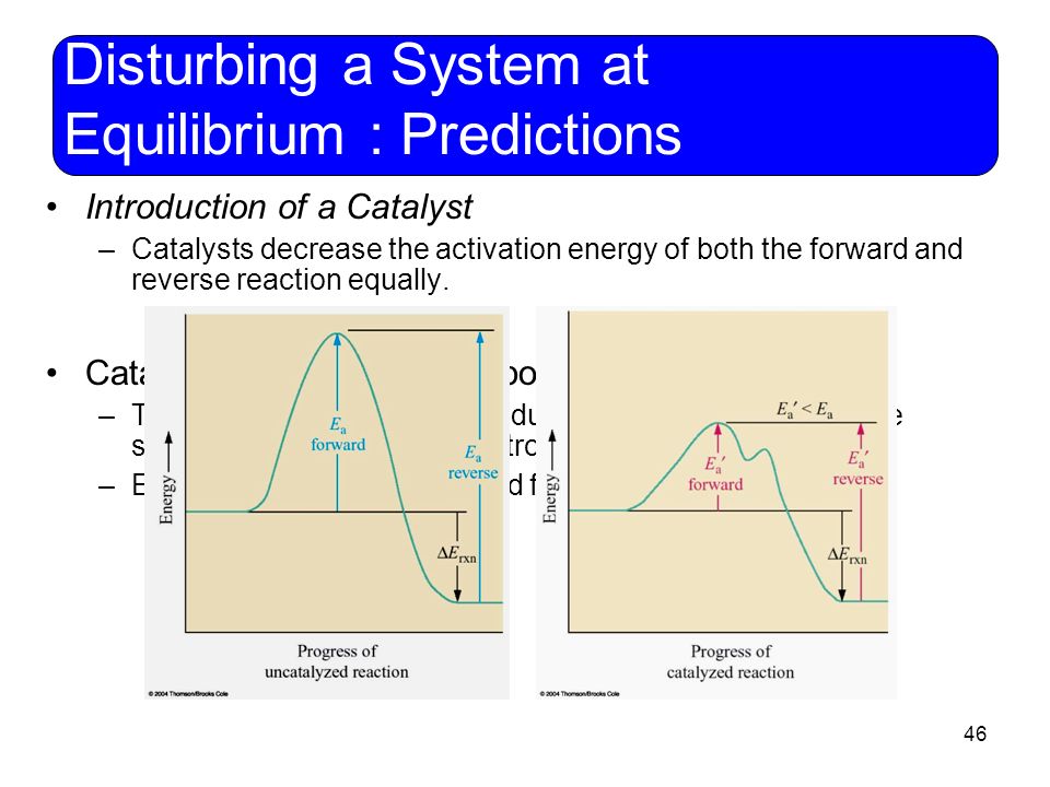 46 Disturbing a System at Equilibrium : Predictions Introduction of a Catalyst –Catalysts decrease the activation energy of both the forward and reverse reaction equally.