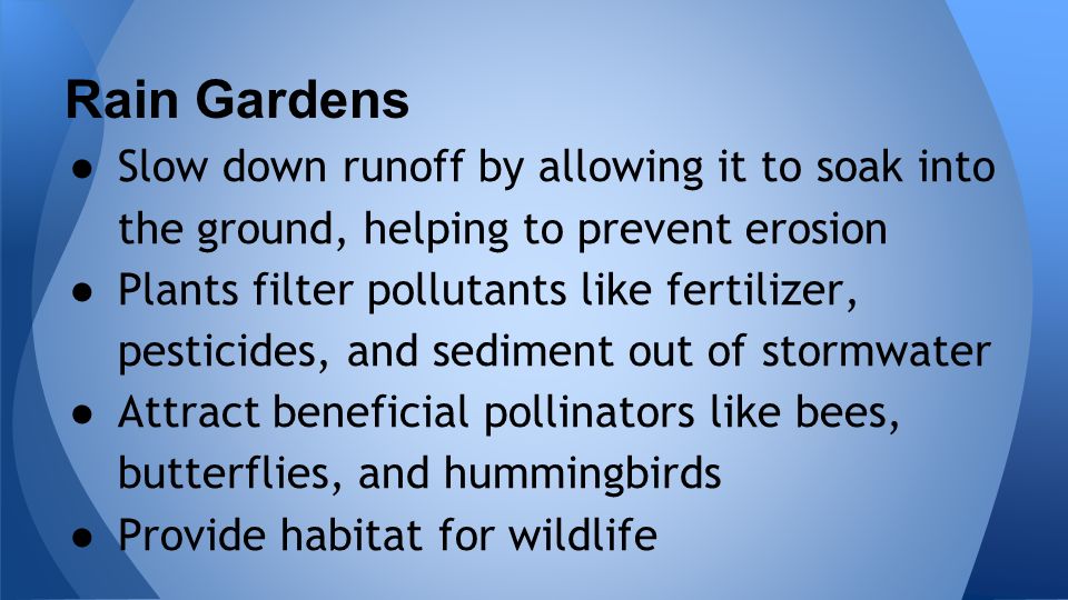 ● Slow down runoff by allowing it to soak into the ground, helping to prevent erosion ● Plants filter pollutants like fertilizer, pesticides, and sediment out of stormwater ● Attract beneficial pollinators like bees, butterflies, and hummingbirds ● Provide habitat for wildlife Rain Gardens
