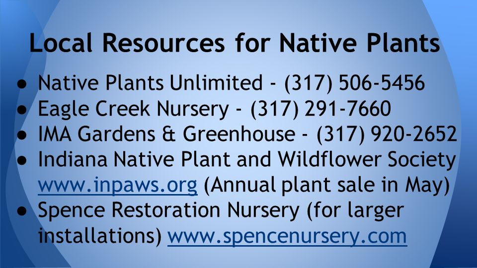 ● Native Plants Unlimited - (317) ● Eagle Creek Nursery - (317) ● IMA Gardens & Greenhouse - (317) ● Indiana Native Plant and Wildflower Society   (Annual plant sale in May)   ● Spence Restoration Nursery (for larger installations)   Local Resources for Native Plants