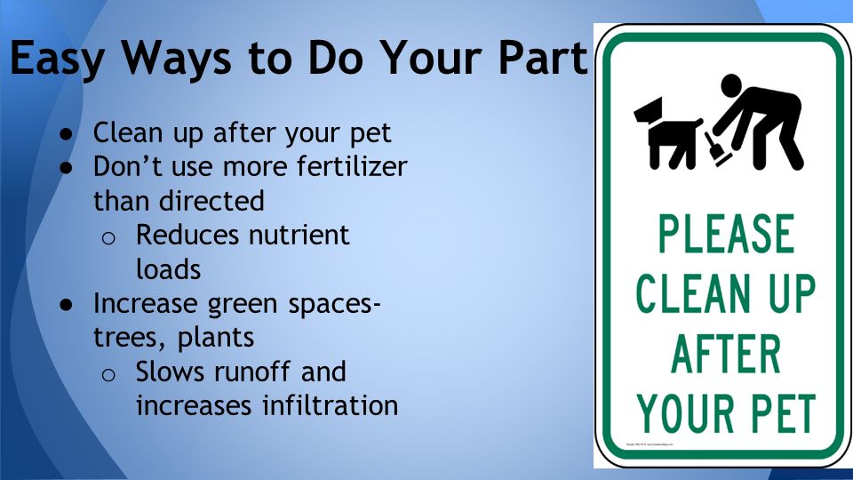 ● Clean up after your pet ● Don’t use more fertilizer than directed o Reduces nutrient loads ● Increase green spaces- trees, plants o Slows runoff and increases infiltration Easy Ways to Do Your Part