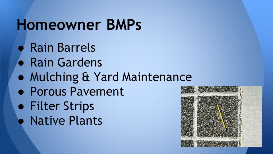 Homeowner BMPs ● Rain Barrels ● Rain Gardens ● Mulching & Yard Maintenance ● Porous Pavement ● Filter Strips ● Native Plants