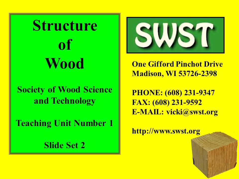 Structure of Wood Society of Wood Science and Technology Teaching Unit Number 1 Slide Set 2 One Gifford Pinchot Drive Madison, WI PHONE: (608) FAX: (608)