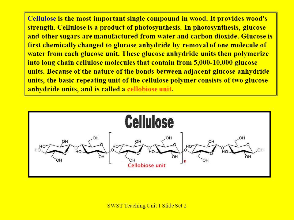 SWST Teaching Unit 1 Slide Set 2 Cellulose is the most important single compound in wood.