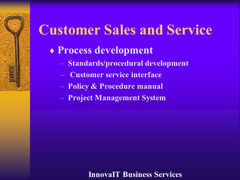 InnovaIT Business Services Customer Sales and Service  Process development –Standards/procedural development – Customer service interface –Policy & Procedure manual –Project Management System