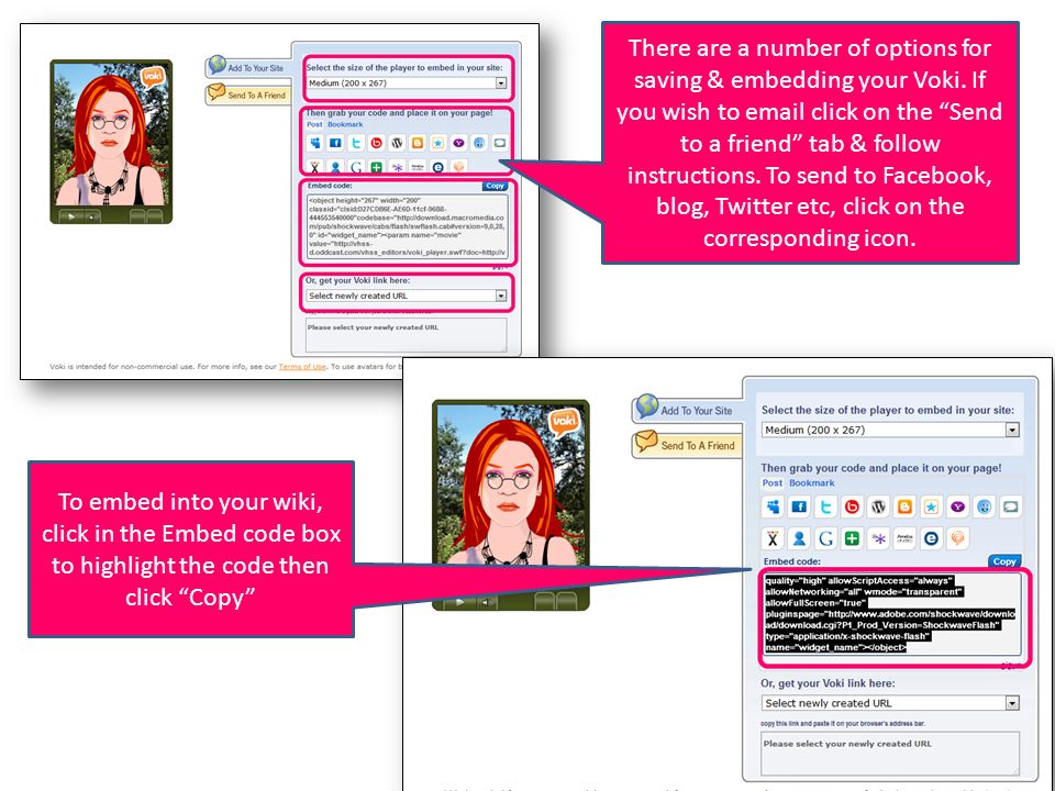 There are a number of options for saving & embedding your Voki.