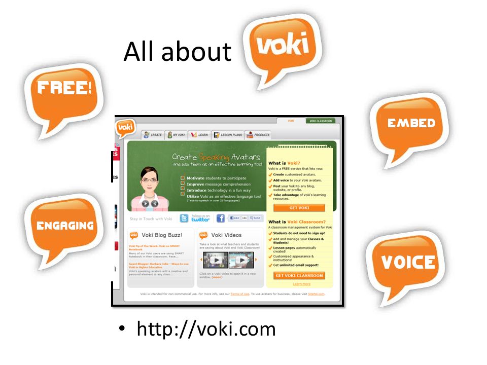 All about Vokis