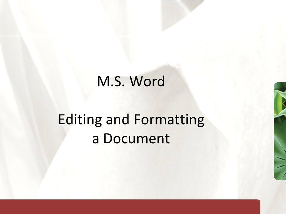 XP M.S. Word Editing and Formatting a Document