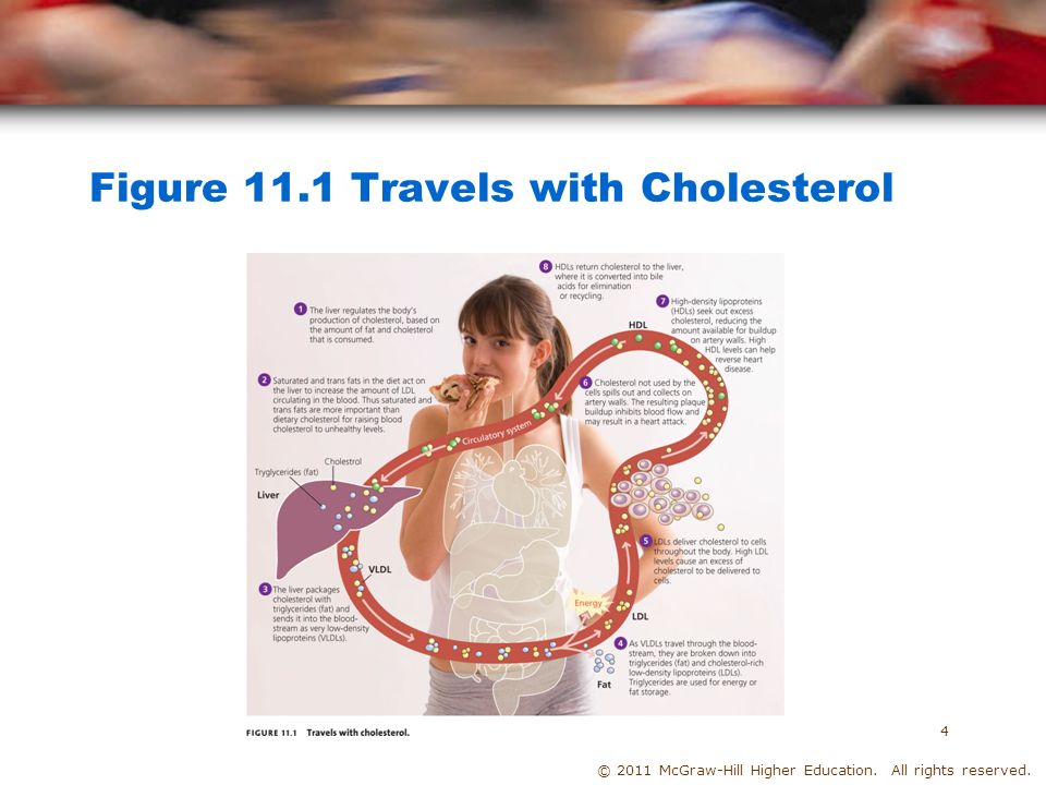 © 2011 McGraw-Hill Higher Education. All rights reserved. Figure 11.1 Travels with Cholesterol 4
