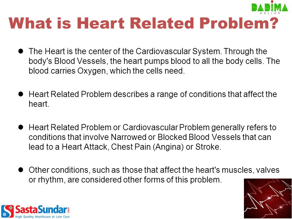 The Heart is the center of the Cardiovascular System.