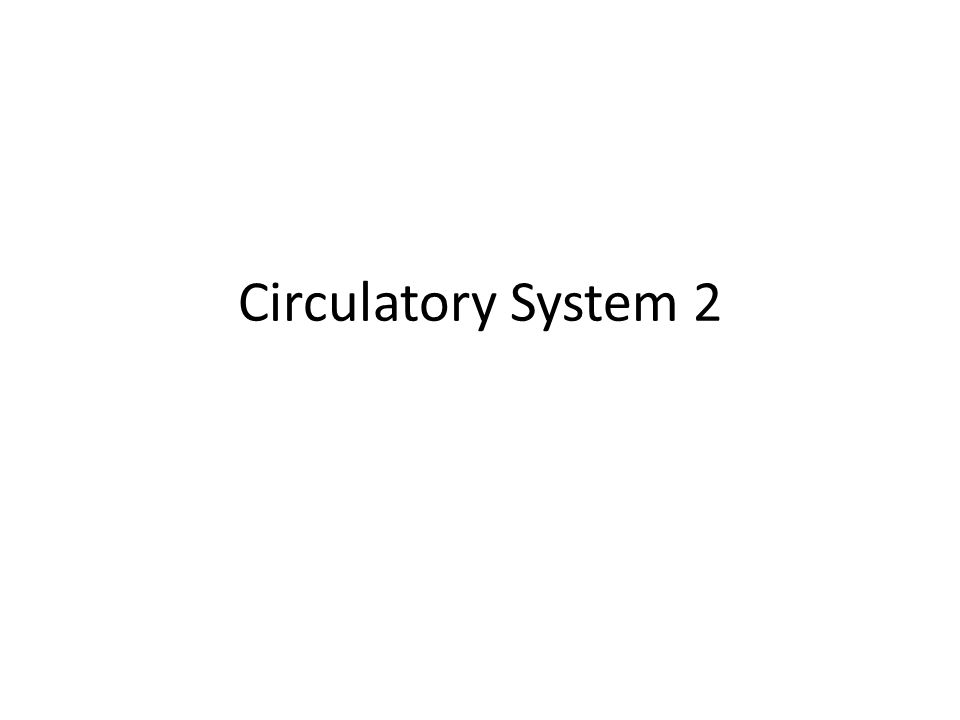 Circulatory System 2