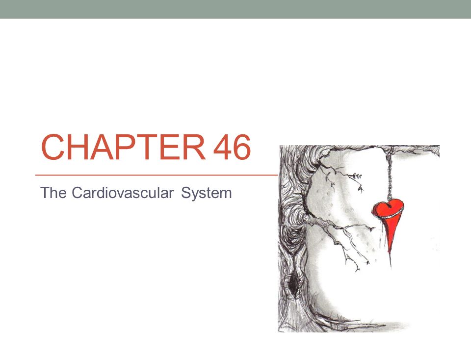 CHAPTER 46 The Cardiovascular System