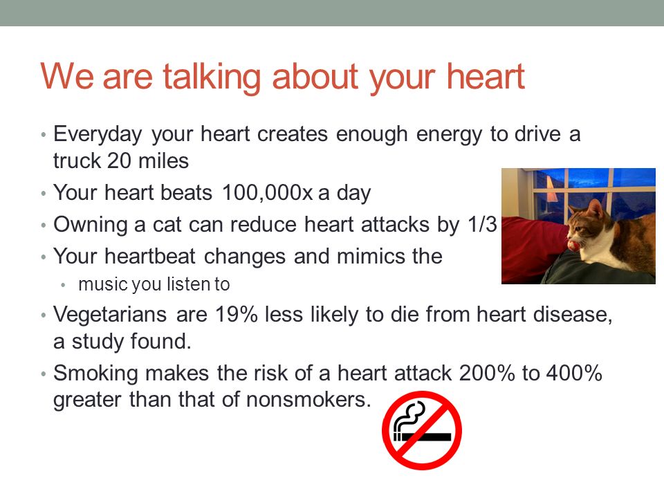 We are talking about your heart Everyday your heart creates enough energy to drive a truck 20 miles Your heart beats 100,000x a day Owning a cat can reduce heart attacks by 1/3 Your heartbeat changes and mimics the music you listen to Vegetarians are 19% less likely to die from heart disease, a study found.