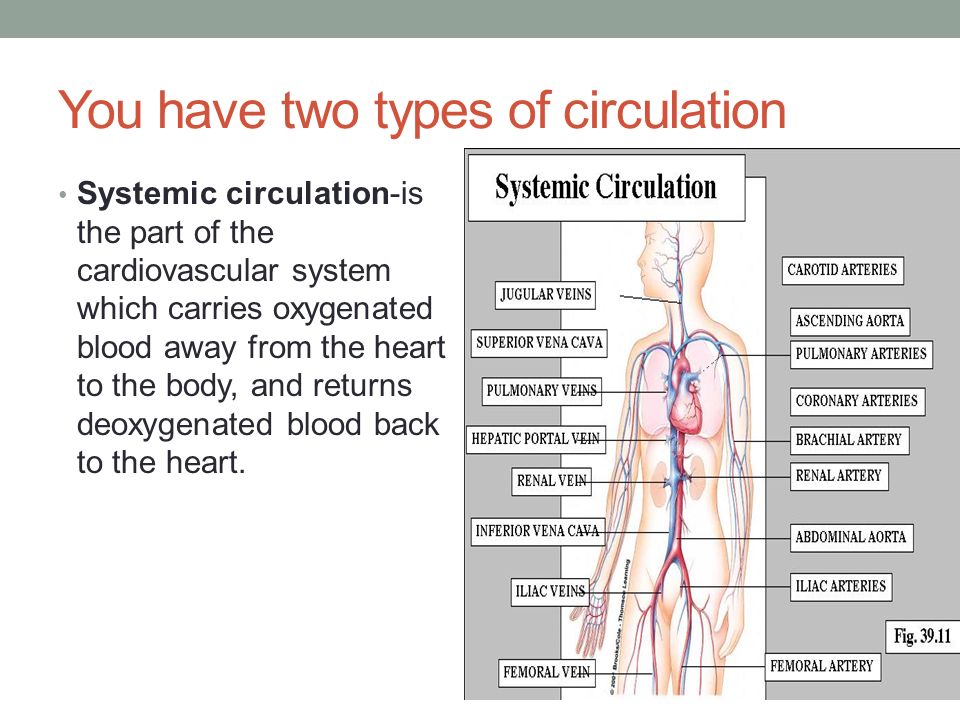 You have two types of circulation Systemic circulation-is the part of the cardiovascular system which carries oxygenated blood away from the heart to the body, and returns deoxygenated blood back to the heart.
