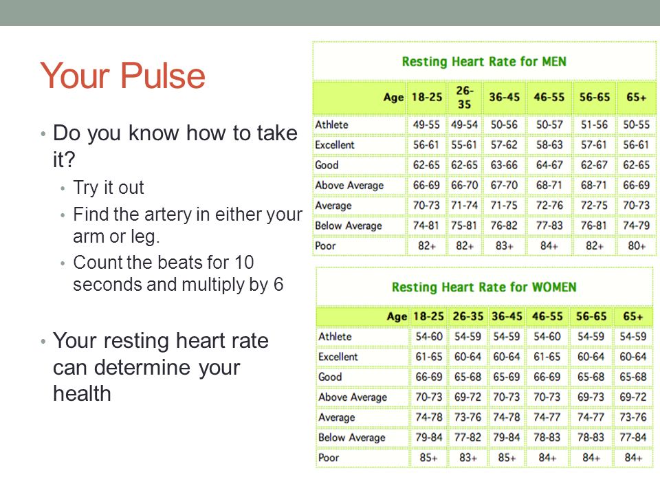 Your Pulse Do you know how to take it. Try it out Find the artery in either your arm or leg.