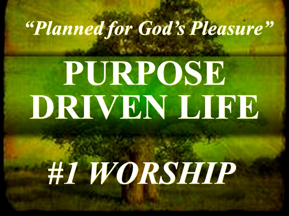 PURPOSE DRIVEN LIFE Planned for God’s Pleasure #1 WORSHIP