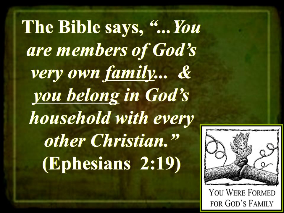The Bible says, ...You are members of God’s very own family...