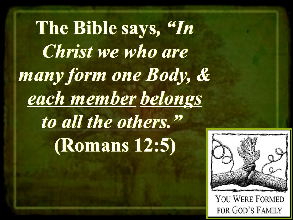The Bible says, In Christ we who are many form one Body, & each member belongs to all the others. (Romans 12:5)