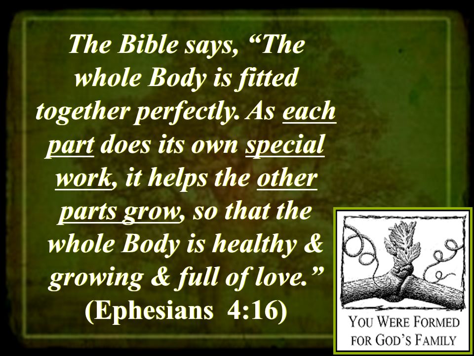 The Bible says, The whole Body is fitted together perfectly.