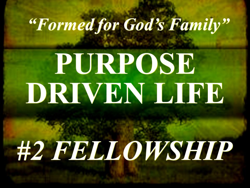 PURPOSE DRIVEN LIFE Formed for God’s Family #2 FELLOWSHIP