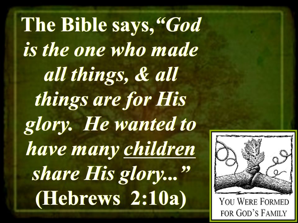 The Bible says, God is the one who made all things, & all things are for His glory.