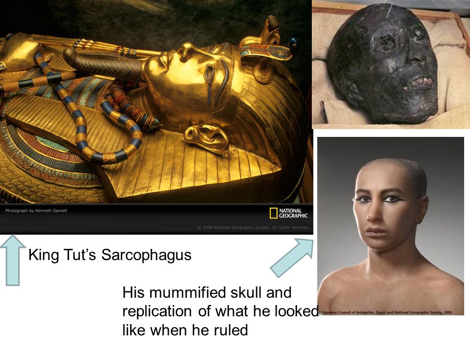 King Tut’s Sarcophagus His mummified skull and replication of what he looked like when he ruled