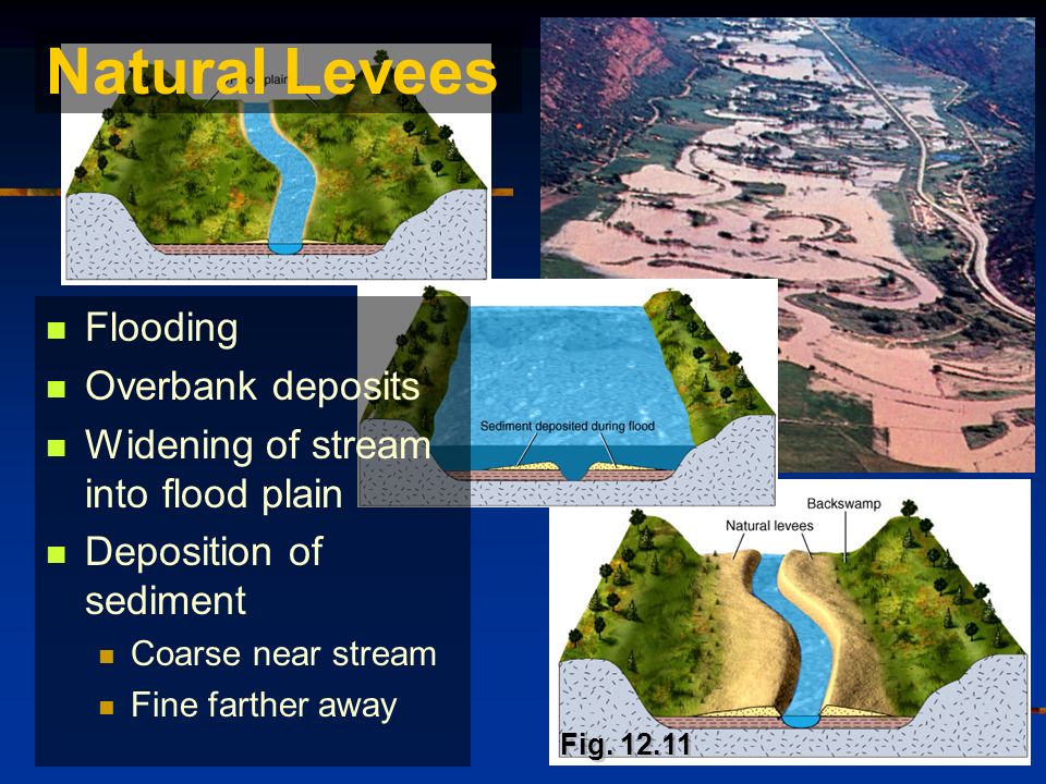 Flooding Overbank deposits Widening of stream into flood plain Deposition of sediment Coarse near stream Fine farther away Natural Levees Fig.