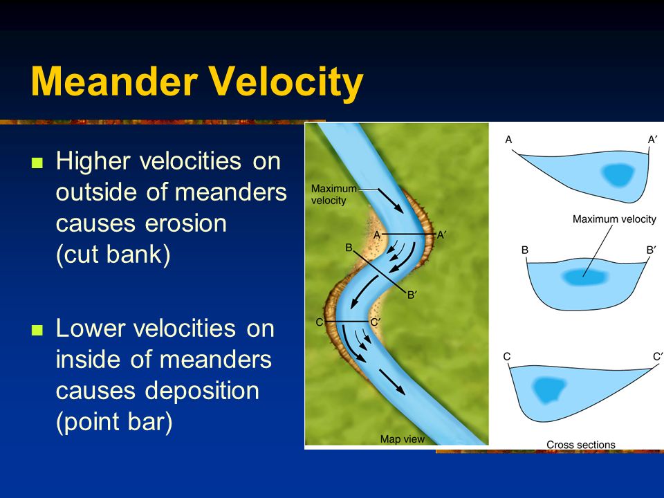Meander Velocity Higher velocities on outside of meanders causes erosion (cut bank) Lower velocities on inside of meanders causes deposition (point bar) Fig.