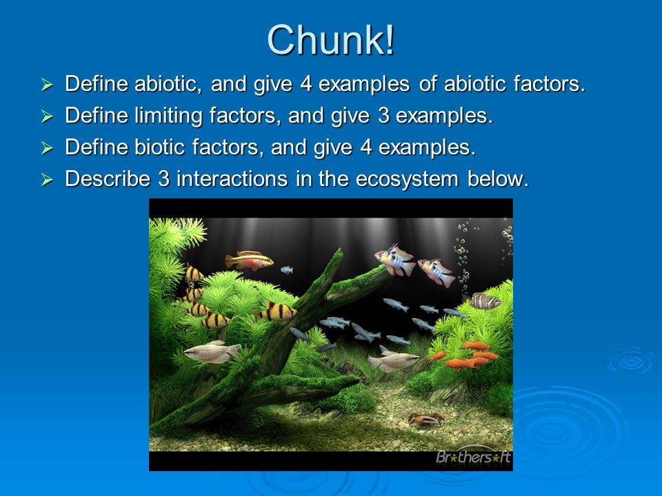 Chunk.  Define abiotic, and give 4 examples of abiotic factors.