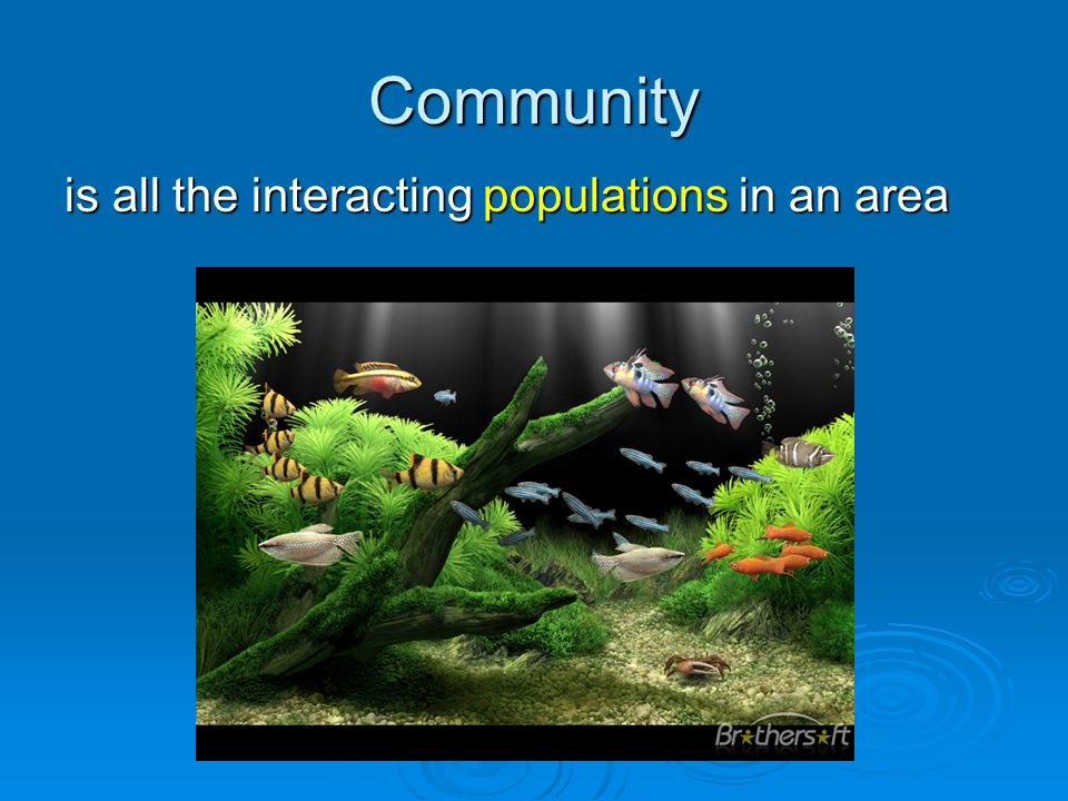 Community is all the interacting populations in an area