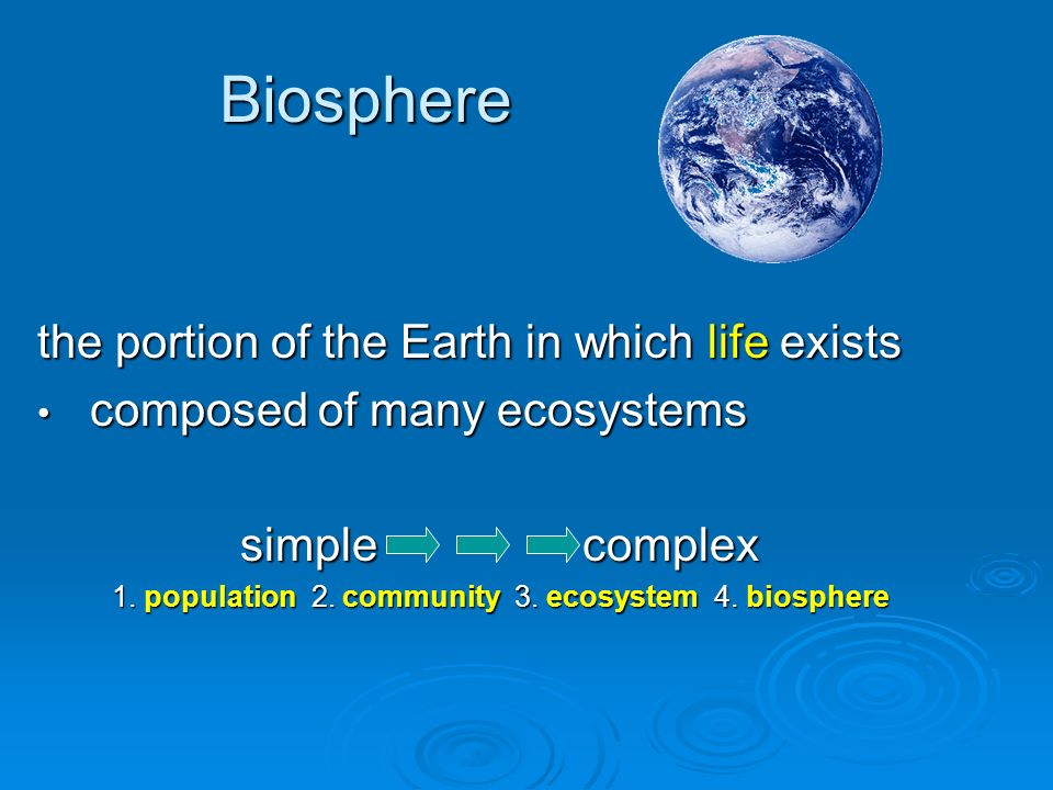 the portion of the Earth in which life exists composed of many ecosystems composed of many ecosystems simple complex 1.
