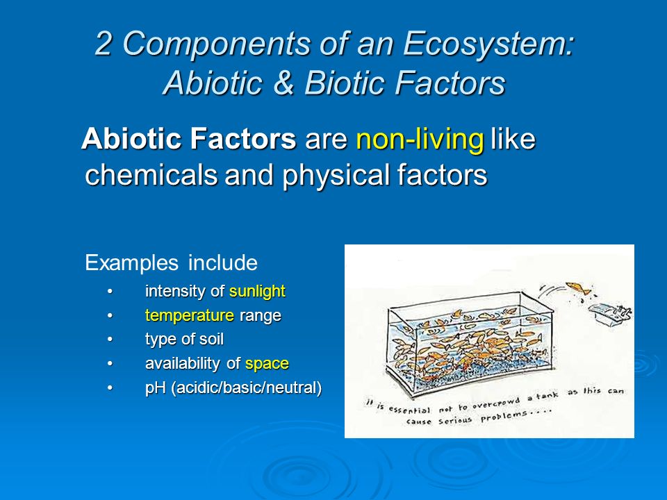 2 Components of an Ecosystem: Abiotic & Biotic Factors Abiotic Factors are non-living like chemicals and physical factors Abiotic Factors are non-living like chemicals and physical factors Examples include intensity of sunlight intensity of sunlight temperature range temperature range type of soil type of soil availability of space availability of space pH (acidic/basic/neutral) pH (acidic/basic/neutral)