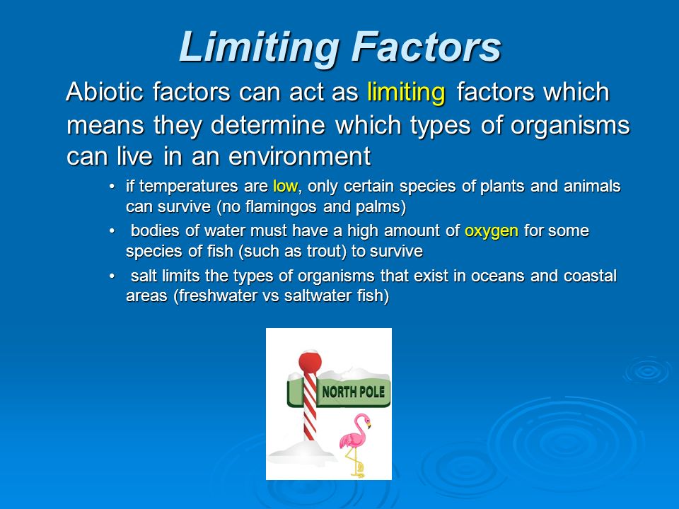 Limiting Factors Abiotic factors can act as limiting factors which means they determine which types of organisms can live in an environment Abiotic factors can act as limiting factors which means they determine which types of organisms can live in an environment if temperatures are low, only certain species of plants and animals can survive (no flamingos and palms)if temperatures are low, only certain species of plants and animals can survive (no flamingos and palms) bodies of water must have a high amount of oxygen for some species of fish (such as trout) to survive bodies of water must have a high amount of oxygen for some species of fish (such as trout) to survive salt limits the types of organisms that exist in oceans and coastal areas (freshwater vs saltwater fish) salt limits the types of organisms that exist in oceans and coastal areas (freshwater vs saltwater fish)