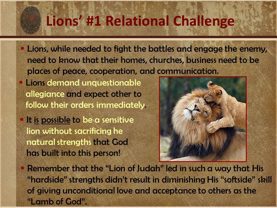 Lions’ #1 Relational Challenge  Lions, while needed to fight the battles and engage the enemy, need to know that their homes, churches, business need to be places of peace, cooperation, and communication.