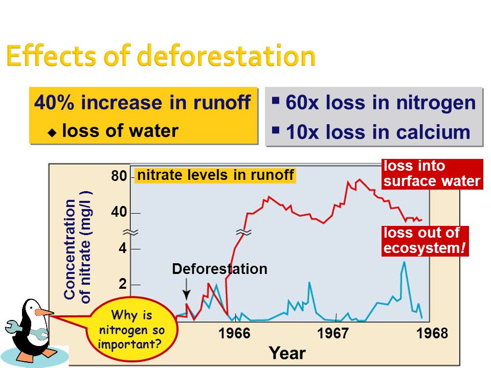  Deforestation breaks the water cycle  groundwater is not transpired to the atmosphere, so precipitation is not created forest  desert desertification