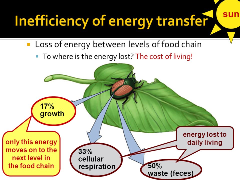  Trophic levels  feeding relationships  start with energy from the sun  captured by plants ▪ 1 st level of all food chains  food chains usually go up only 4 or 5 levels ▪ inefficiency of energy transfer  all levels connect to decomposers Fungi Level 4 Level 3 Level 2 Level 1 Decomposers Producer Primary consumer Secondary consumer Tertiary consumer top carnivore carnivore herbivore Bacteria autotrophs heterotrophs sun