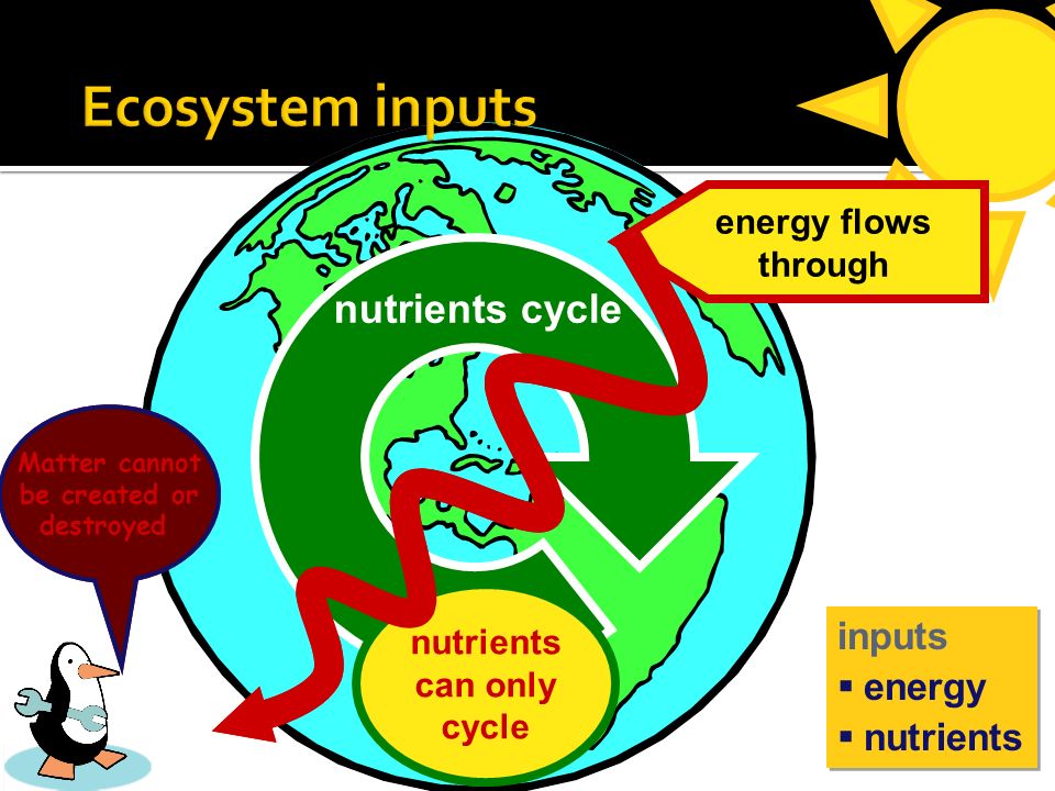  All the organisms in a community plus abiotic factors  ecosystems are transformers of energy & processors of matter  Ecosystems are self-sustaining  what is needed.