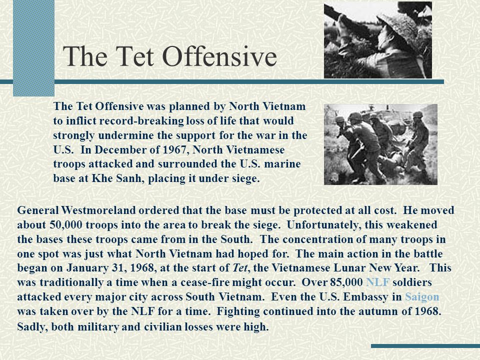 Custom Essay Paper Effects Of The Tet Offensive Essay Research Paper Help The Kite Runner Essay Thesis also Examples Of High School Essays Tet Offensive Essay Question Mistyhamel Health Care Essay Topics