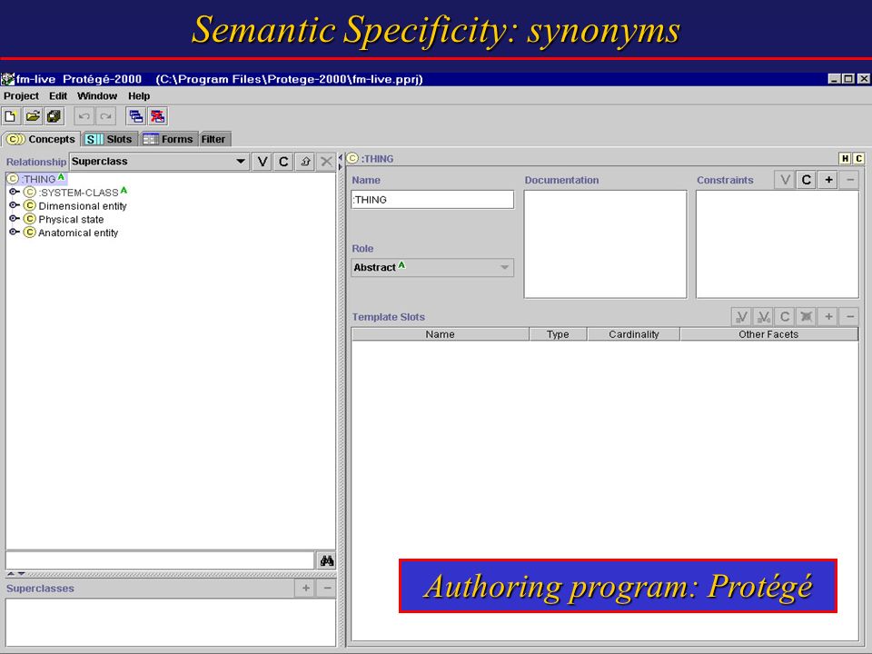 Authoring program: Protégé Semantic Specificity: synonyms