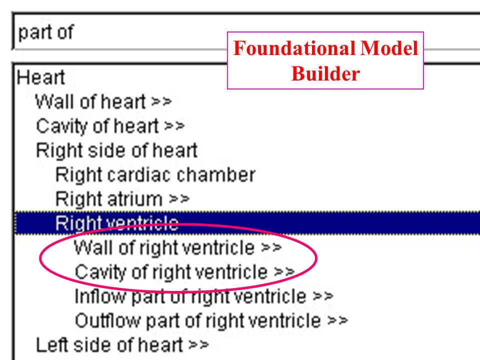 Foundational Model Builder