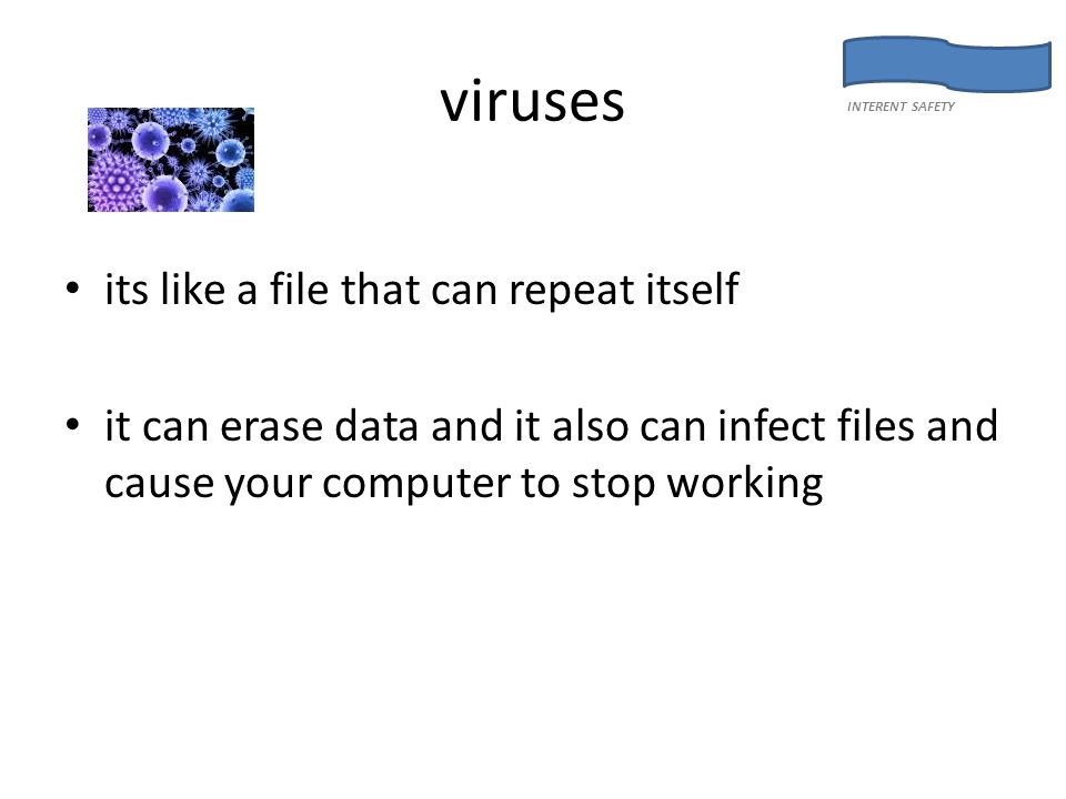 viruses its like a file that can repeat itself it can erase data and it also can infect files and cause your computer to stop working INTERENT SAFETY