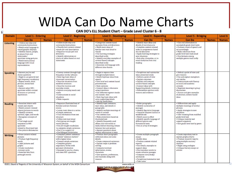 Wida Can Do Name Charts