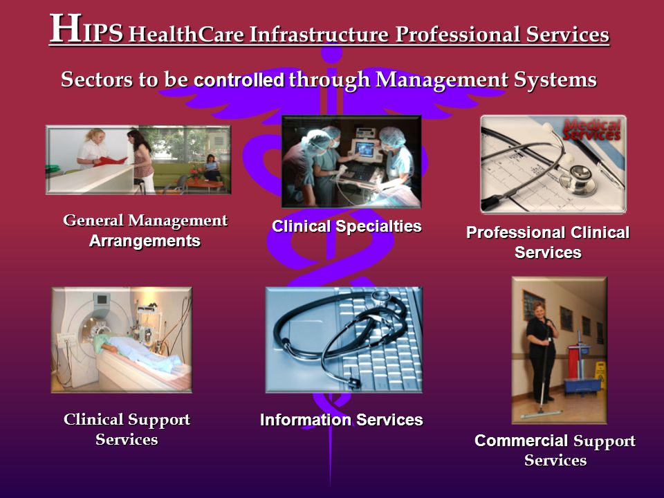 H IPS HealthCare Infrastructure Professional Services Professional Clinical Services Information Services Commercial Support Services Services General Management Arrangements Clinical Specialties Clinical Support Services Sectors to be controlled through Management Systems