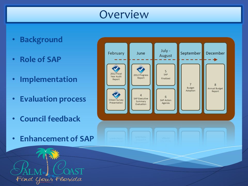 Overview Background Role of SAP Implementation Evaluation process Council feedback Enhancement of SAP