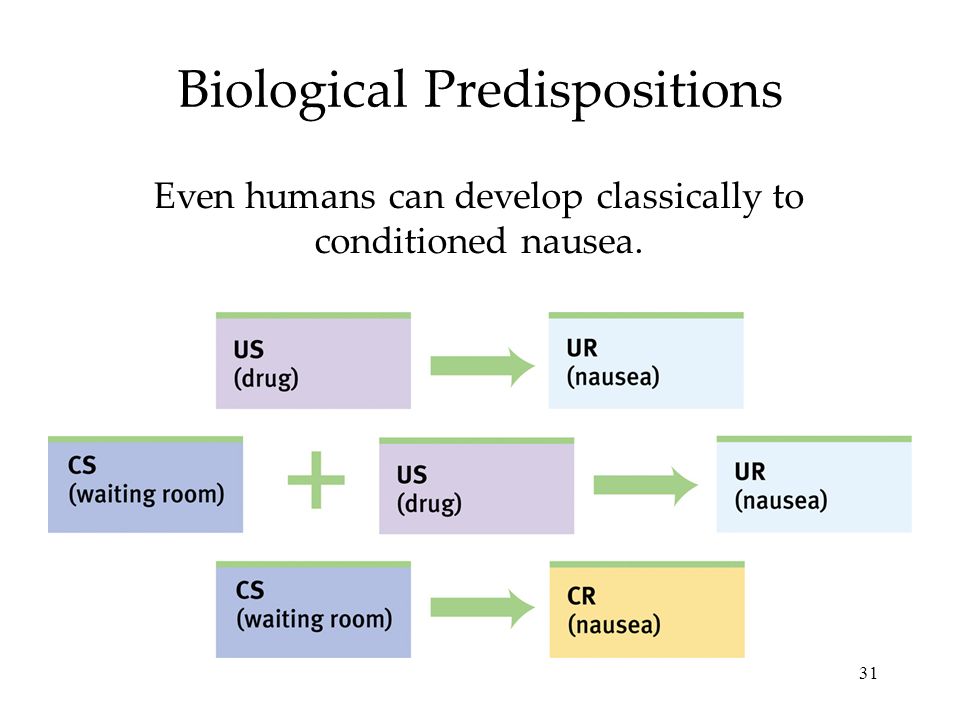 31 Biological Predispositions Even humans can develop classically to conditioned nausea.