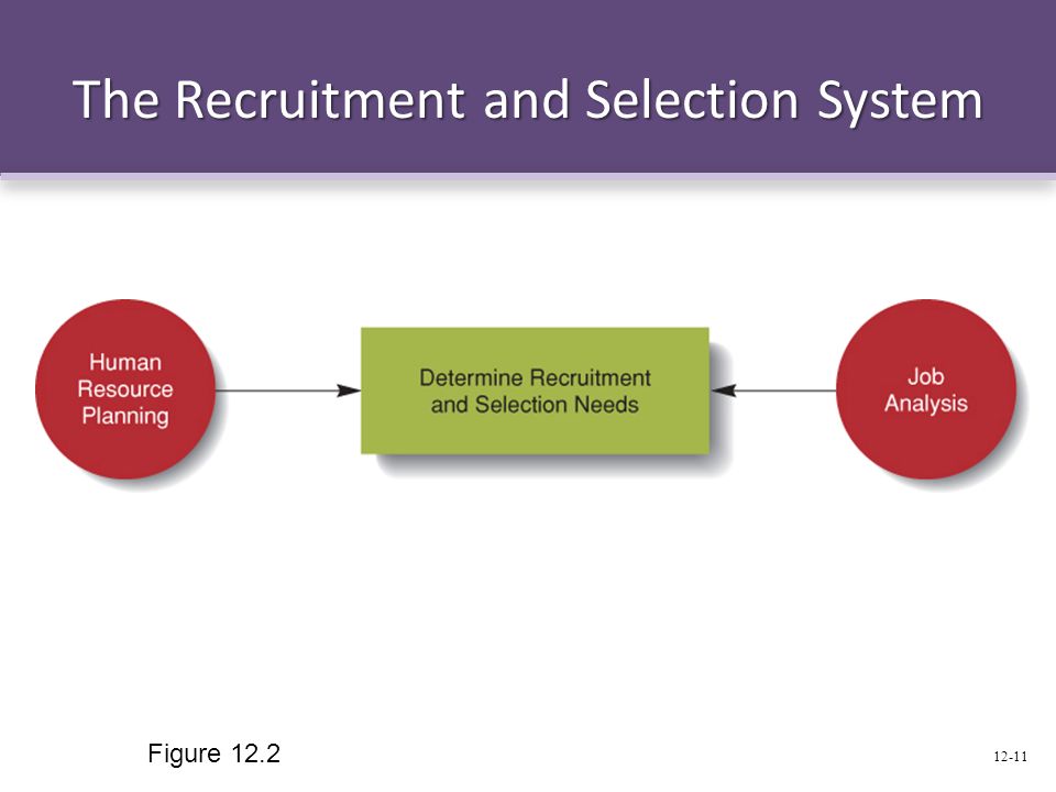 The Recruitment and Selection System Figure