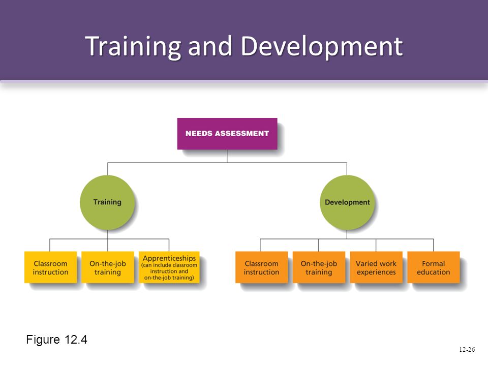 Training and Development Figure
