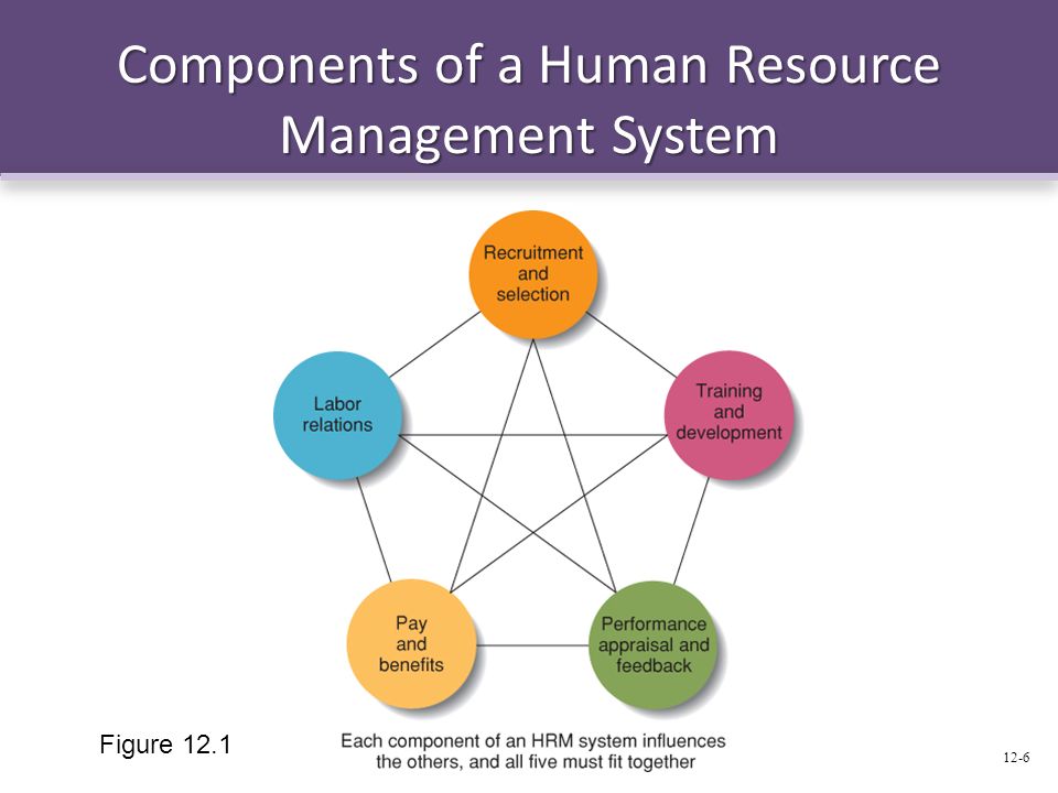 Components of a Human Resource Management System Figure